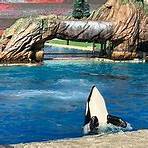 Is SeaWorld a good place to visit in San Diego?3