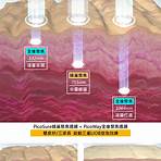 達比修有 紗榮子3