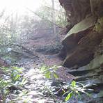 red river gorge kentucky state park4