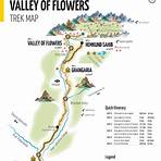 Valley of Flowers4