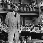 what kind of book is to kill a mockingbird movie1