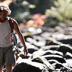 Is into the wild based on a true story?3
