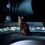 Die Katze aus dem Weltraum4