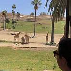 San Diego Zoo Safari Park Escondido, CA1