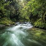 Whakatāne, Bay of Plenty, New Zealand2