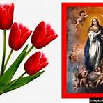 imágenes de la virgen de la inmaculada concepción1