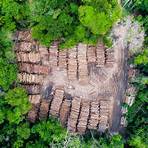 consequências do desmatamento na amazônia5