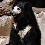 bear mccreary wikipedia and family tree3