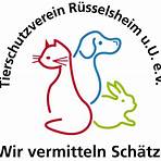 tierschutzverein rüsselsheim und umgebung1
