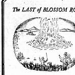 why was blossom rock removed from san francisco bay area2