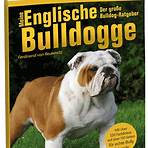 bulldogge3