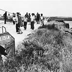 Chappaquiddick1