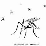 mosquitos dibujo1