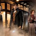Fantastic Beasts and Where to Find Them1