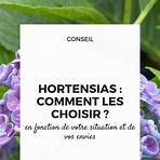 Hortensia de Beauharnais1