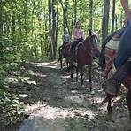 uncle buck's riding stable hocking hills ohio2