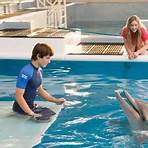 is dolphin tale 2 a good movie on netflix1