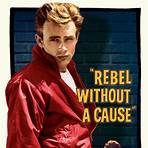The Rebel (1993 film) cast1