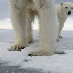 Polar Bear: Spy on the Ice Fernsehserie4
