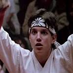 The Karate Kid Film Series1