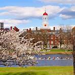 Università del Massachusetts3
