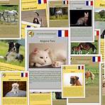 animaux sauvages liste2