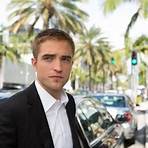 Maps to the Stars1