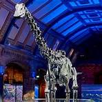 Natural History Museum, London4