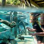 discovery cove tickets2