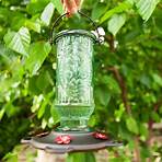 hummingbird feeder2