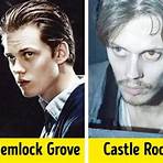 bill skarsgård irmaos1