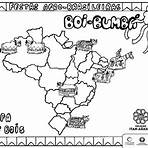 imagem do mapa do brasil para colorir4