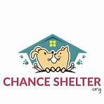 Shelter Chance1