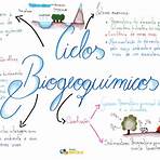 ciclos biogeoquímicos1