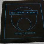 Enter the Sisters The Sisters of Mercy2