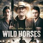 Wild Horses film2