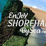 shoreham by sea tourist information1