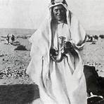 With Allenby in Palestine and Lawrence in Arabia3