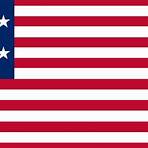 amerika flagge mit adler5