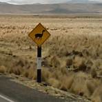 What are some funny Google Street Views?4