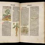 Why was Mandragora important in the Middle Ages?1