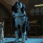 Cats & Dogs 3 – Pfoten vereint! Film2