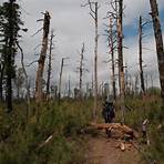 batona trail pine barrens1