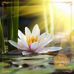 flor de lotus budismo1