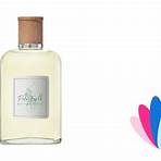 ralph lauren perfume feminino1