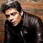 Did Benicio del Toro swerve his duties as a father?3