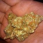 red headed stranger strain marijuana2