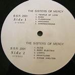 Enter the Sisters The Sisters of Mercy4