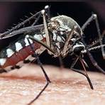 diseases spread by mosquitoes wikipedia in hindi full1