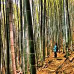 Is Sasaguri a Shikoku Pilgrimage?4